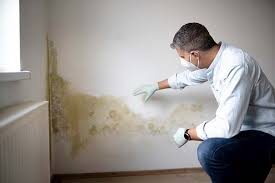  , USA Mold Removal Services Pros